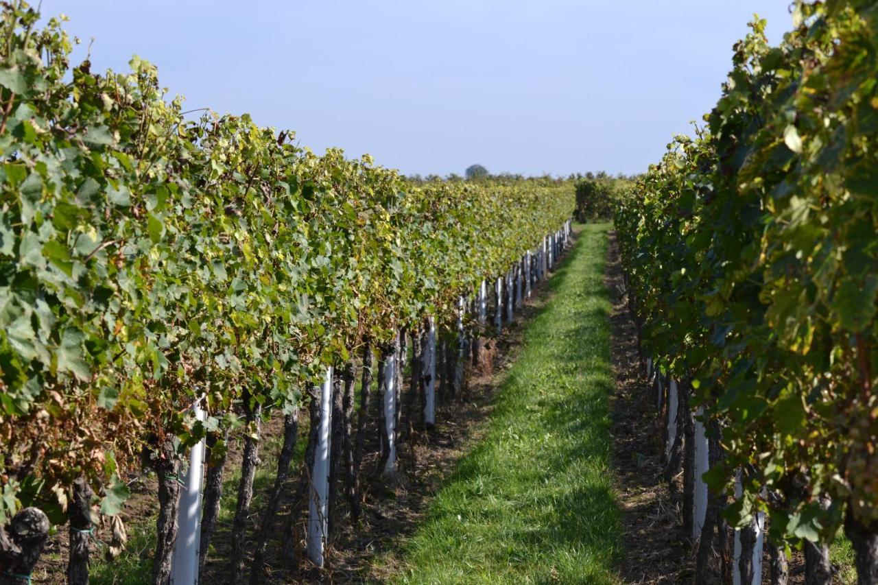 Appartamento Zauber Der Pfalz